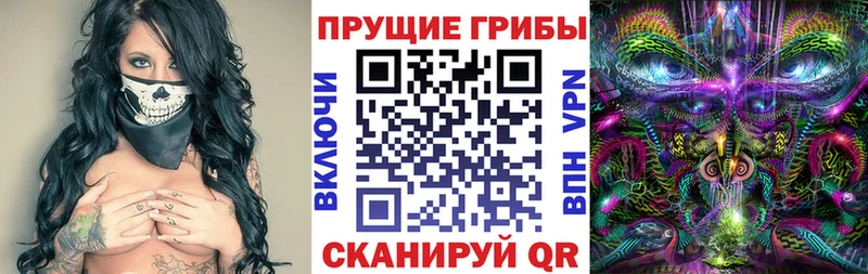 Псилоцибиновые грибы MAGIC MUSHROOMS  Купить где  Чегем 